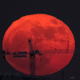 NASA Is Soliciting Bids to Bring Capitalism to the Moon
